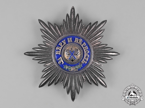 Civil Division, I Class Breast Star (in silver)
