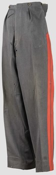 German Army Dress Trousers (General ranks version) Obverse