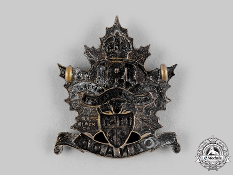 191st Infantry Battalion Officers Cap Badge Reverse