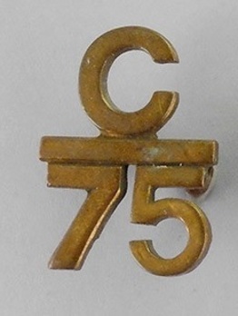 75th Infantry Battalion Other Ranks Collar Badge Obverse