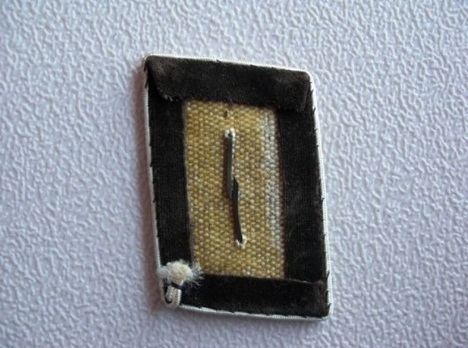 NSDAP Sonderbeauftragter Type IV Kreis Level Collar Tabs Reverse