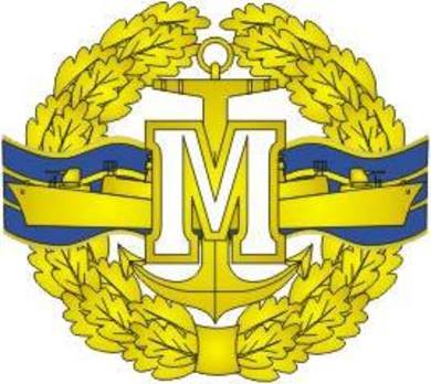 Voluntary Military Service Navy Master Badge Obverse