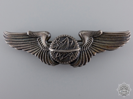 Wings (with sterling silver) Obverse