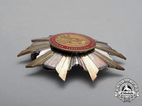 National Order of the Republic of Madagascar, Type I, Grand Officer Breast Star Obverse