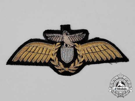 Air Force (ZAF) Pilot's Wing Obverse