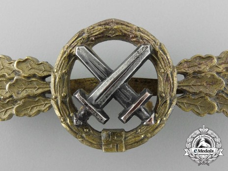 Air-to-Ground Support Clasp, in Gold Detail
