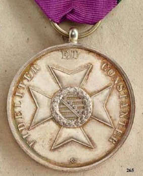 Saxe-Meiningen House Order Medals of Merit, Type II, in Silver Reverse