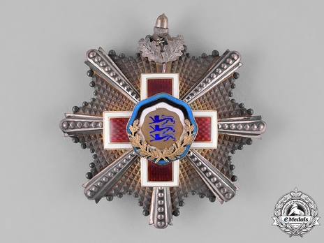 Order of the Estonian Red Cross, I Class Breast Star Obverse