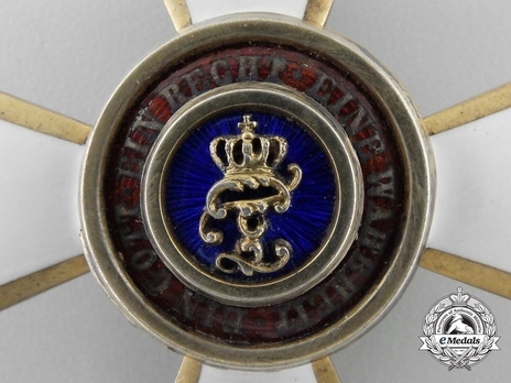 House Order of Duke Peter Friedrich Ludwig, Civil Division, Officer Obverse