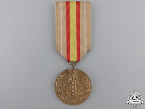 Civic Merit Medal Obverse