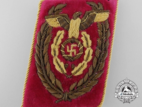 NSDAP Reichsleiter Type IV Reich Level Collar Tabs Obverse