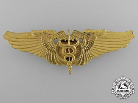 Basic Wings (in gilt) Obverse