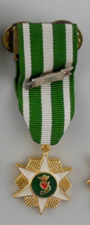 Vietnam campaign medal miniature o
