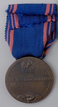 Medal of Aeronautical Valour, in Bronze Reverse
