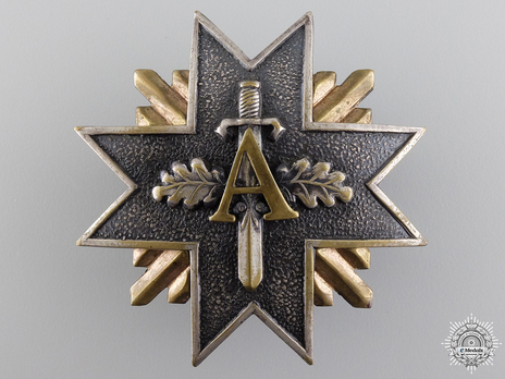 Latvian "Aizsargi" Military Badge (1930s) Obverse