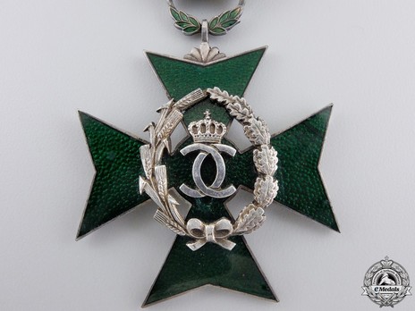 Order of Agricultural Merit, Type I, Knight's Cross Obverse Detail