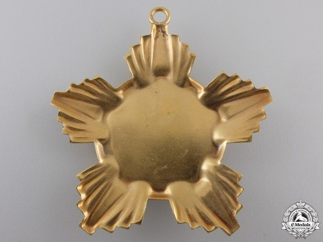 Order of the Victory of Socialism, Breast Star (in bronze gilt) Reverse