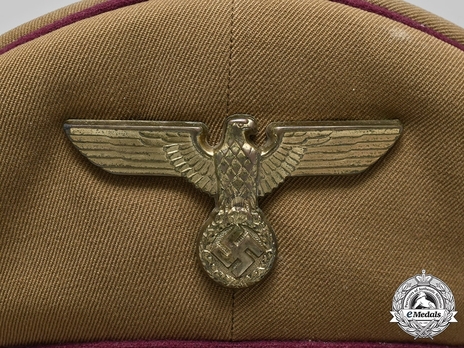 NSDAP Gauleitung Visor Cap M39 Eagle Detail
