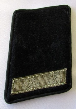 NSDAP Mitarbeiter Type III Kreis Level Collar Tabs (retired version) Obverse