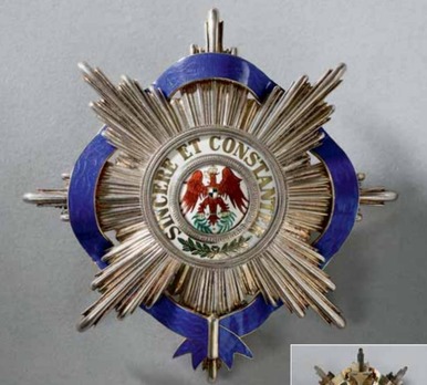 Order of the Red Eagle, Type V, Civil Division, I Class Breast Star (with enamelled ribbon) Obverse