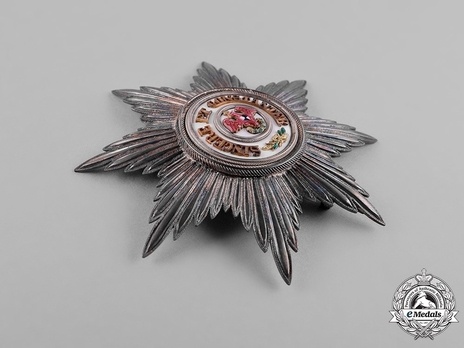 Order of the Red Eagle, Civil Division, I Class Breast Star (with smooth rays) Obverse