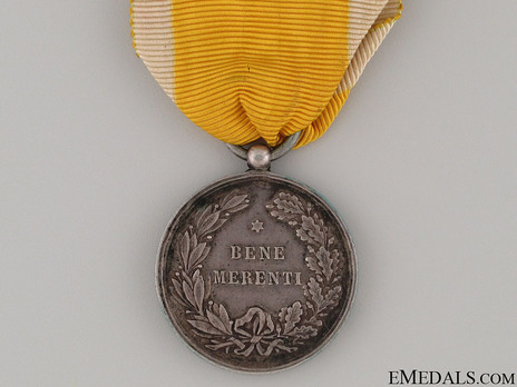 Bene Merenti Medal, Type IV, Small Silver Medal Reverse