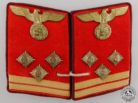 NSDAP Haupt-Einsatzleiter Type IV Gau Level Collar Tabs Obverse