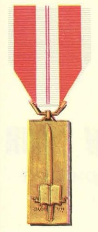 Vietnam training service medal