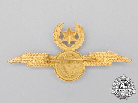 Air Force Pilot Badge Reverse