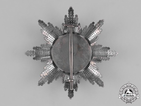 Type III, Civil Division, I Class Breast Star Reverse