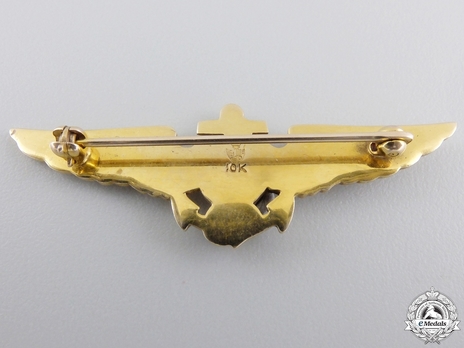 Pilot Wings (with gold) Reverse