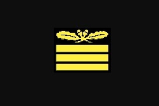 German Army General Sleeve Grade Insignia Obverse