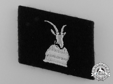 Waffen-SS 'Skanderberg' Division Collar Tab Obverse