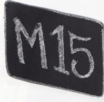 Allgemeine SS 15th Motorised Unit Collar Tab Obverse