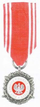 Medal of the Armed Forces in Service of the Fatherland, II Class Obverse