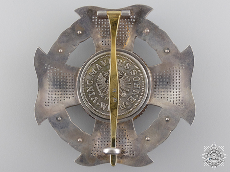 Grand Cross Breast Star (in silver gilt) Reverse