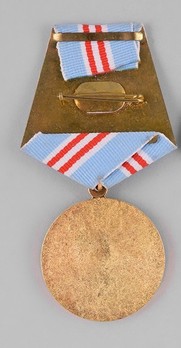 Military 15 Years Long Service and Good Conduct Medal Reverse