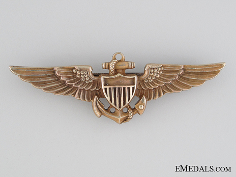 Pilot Wings (with silver-gilt) Obverse 