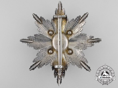 Order of Saint Sava, Type I, II Class Breast Star Reverse