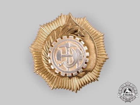 Order of Labour, Type II, I Class (screwback)