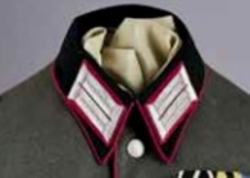 German Army Veterinary Officer Ranks Dress Collar Tabs Obverse