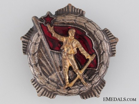 Medal for Remembrance, Type II, Large Badge (in Silver gilt) Obverse