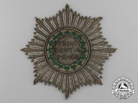 Order of the Rue Crown, Breast Star (embroidered) Obverse