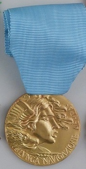 Medal of Honour for Long Command in the Air Force, in Gold (2010-Present) Obverse