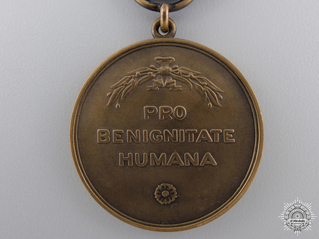 Medal for Humanity, Bronze Medal Reverse