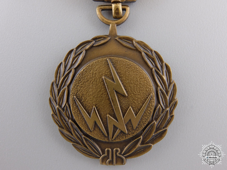 Air Force Northern Expeditionary Medal Obverse
