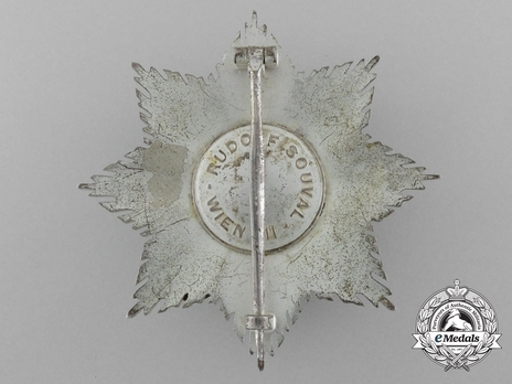 I Class Star (for combat service, with swords) Reverse