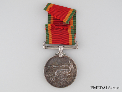 Africa Service Medal Reverse