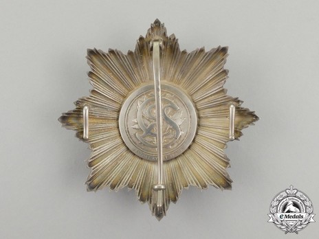 Order of the White Lion, Military Division, I Class Breast Star Reverse