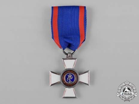 House Order of Duke Peter Friedrich Ludwig, Civil Division, II Class Knight Obverse